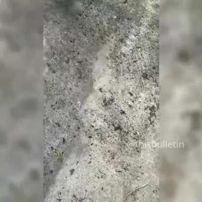 Thanks, I hate earmuffs