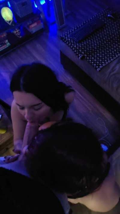 my girls are trained well [OC]