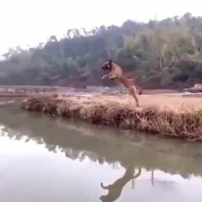 Red Bull gives you Wings!