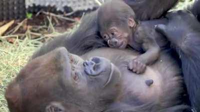 My mom gave the same thumb rub :)