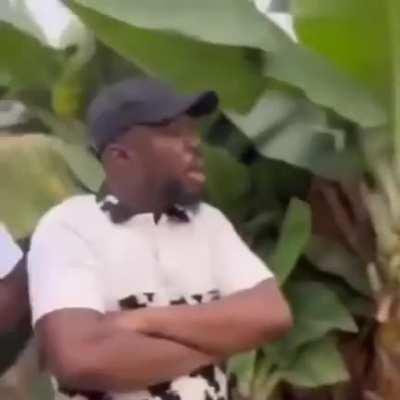 Воспользовался ситуацией