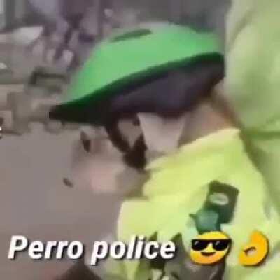 Perro police