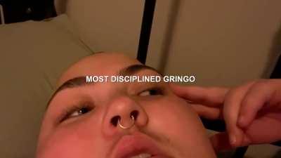 Average Gringo