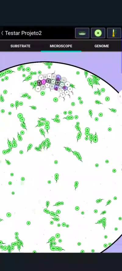 It took 47 modes, he chases the greens and the stemocytes oscillate between 4 colors 