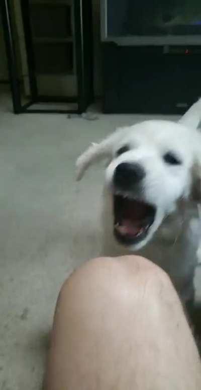 Found this old video and thought it'd fit here