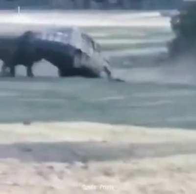 When the boss fight goes wrong.