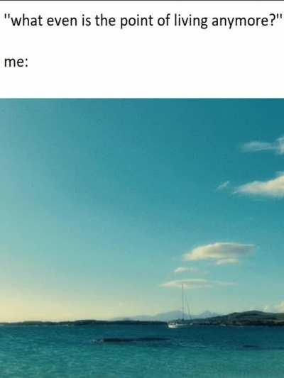 wishing everyone a beautiful life