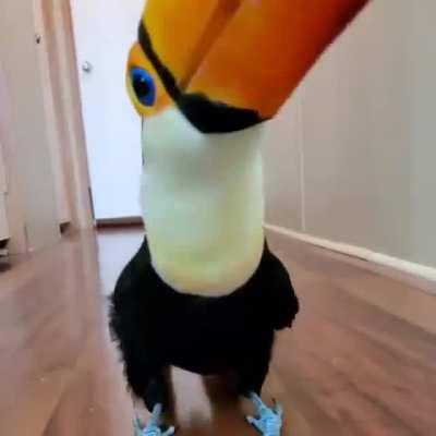 Swiggity swooty, Imma boppin to that booty