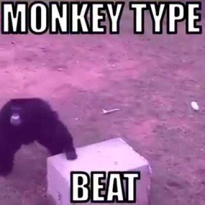 Monke type beat
