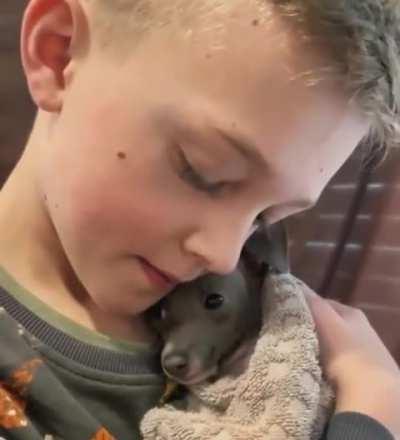 Boy comforts puppy scared of bath time