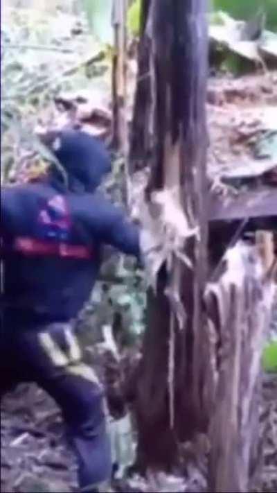 Tree breaker the man who stops at nothing