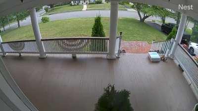 Пф... какие ещё к чёрту орехи, тут пиццу привезли