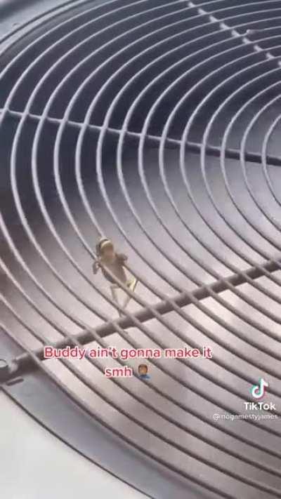 Kermit is begging for help.