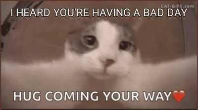 This made my day so much better