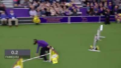 Taking a moment to focus