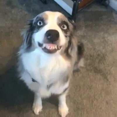 This is my facial expression, when my wife suggests we start Frasier all over again from Season 1, Episode 1