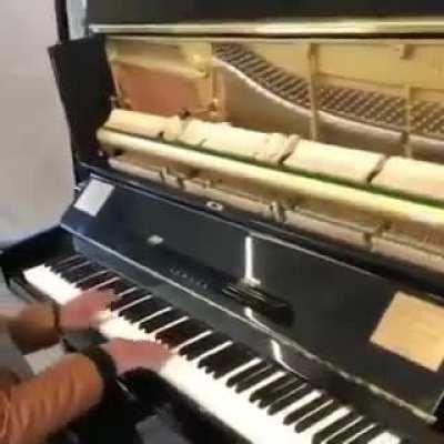 Elderly man jumps on public piano and blows the public away with an incredible performance