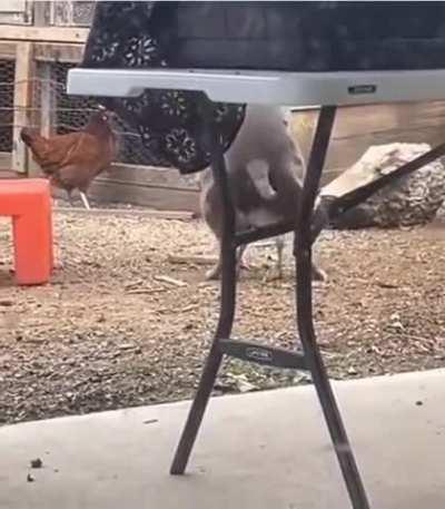 How Pitckens are made.