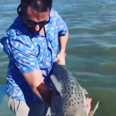 That is big one! Let's set it free...