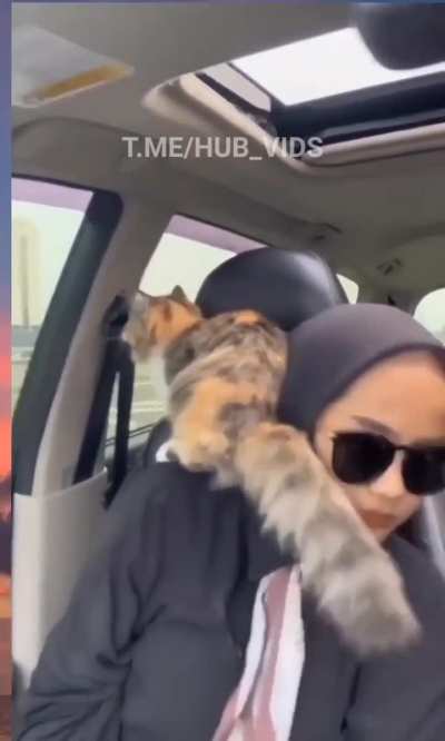 Trust issues unlocked: Cat edition.