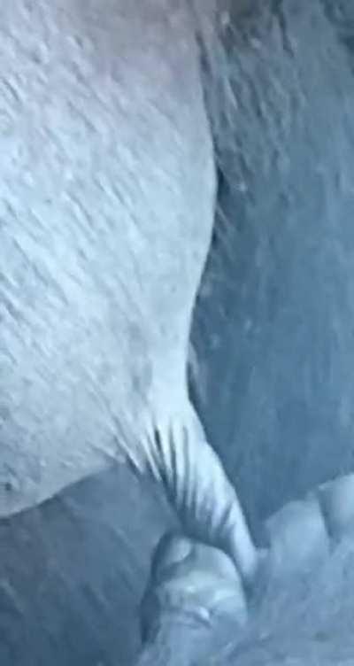 THAT NIPPLE THO 😳