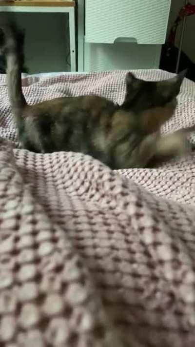 very dramatic startle