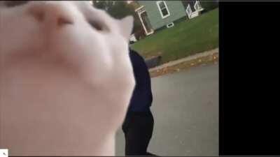 Person watching is very sus 😳😳😳🤪