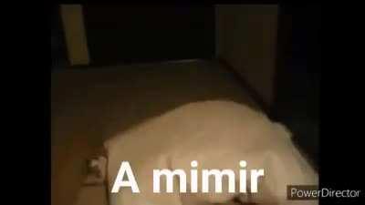 No aparecí en el MCLMI, nada fuera de lo normal. A mimir