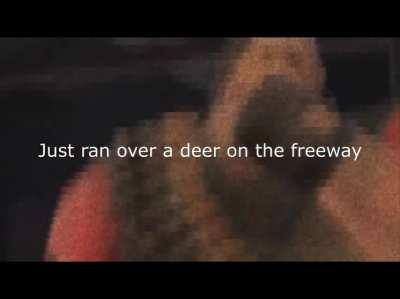 just ran over a deer on the freeway