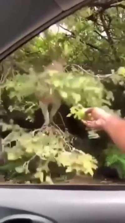 epic fail 🤣🤣🤣🤣🤣🤣🤣🤣🤣🤣🤣🤣🤣🤣🤣🤣🤣🤣🤣🤣🤣🤣🤣🤣🤣🤣🤣