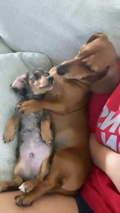 My boys love each other so much 💕