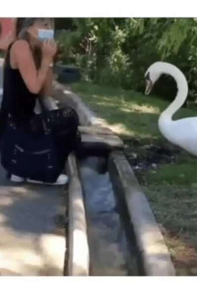 wear your mask hewman