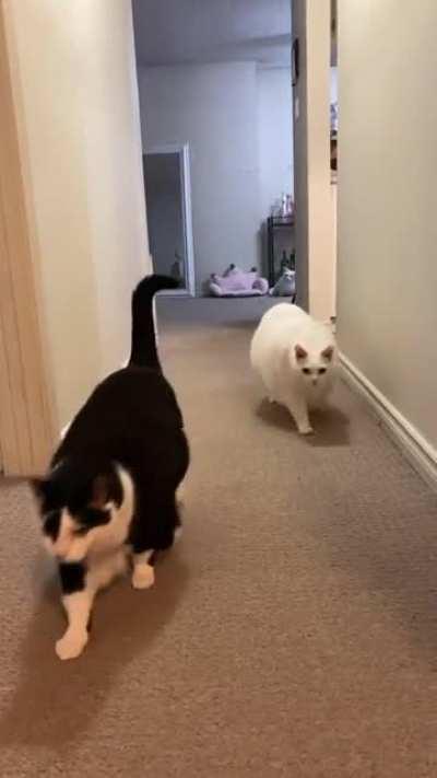 Prepare for trouble, and make it double