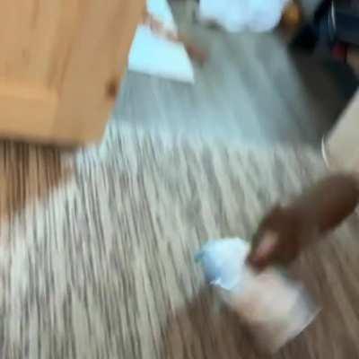 Running around with a piece of packaging