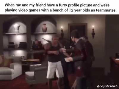 Furry🎮irl