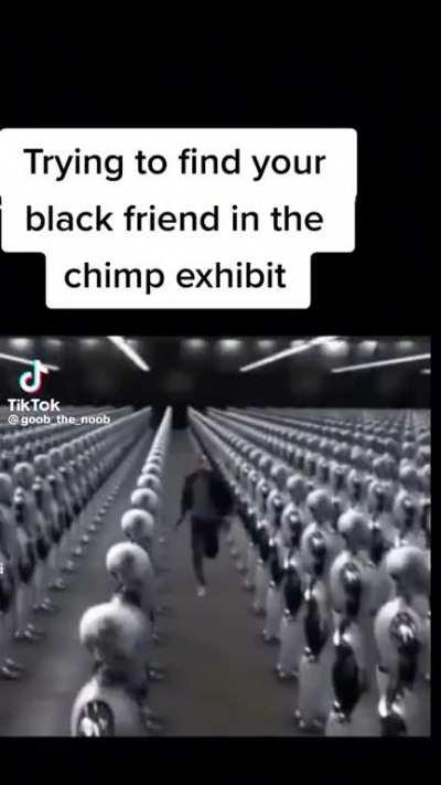 Looked everywhere for them