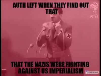 😳Critical Support for the Nazis against the Western Ultras😳