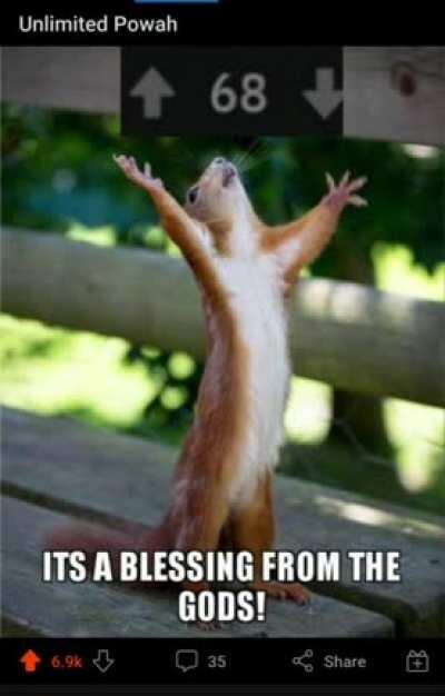 A blessing indeed!!!