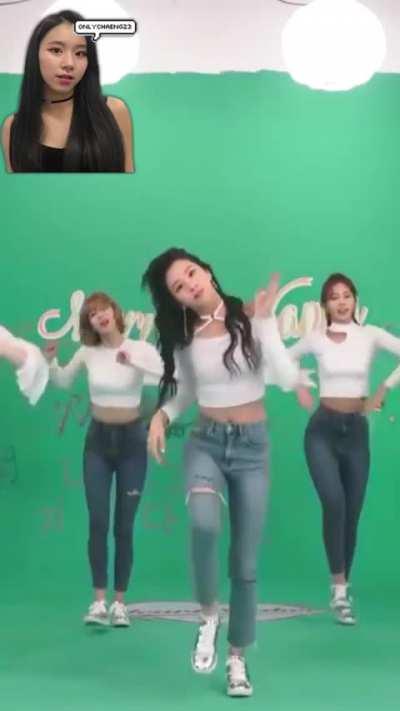 CHAEYOUNG SON (Personal Favorites - The ChaeBae Series)