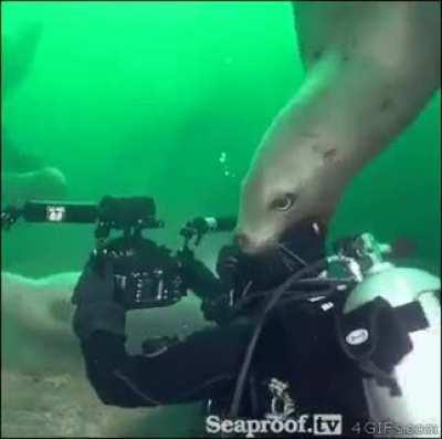 I can smash your skull but I won't though