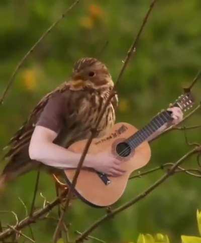 Do y’all need any more proof? If this is what they do when we’re looking, imagine what happens when we’re not