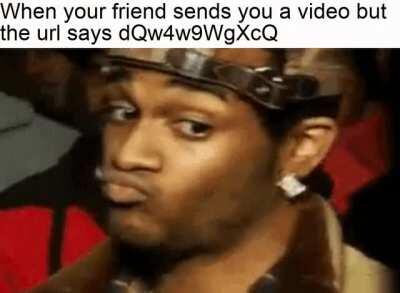 that's how memers look at normies.