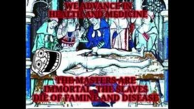 Industrial society and its futur