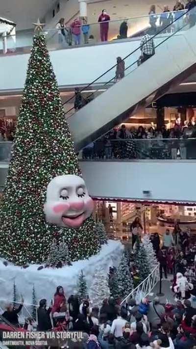 Thanks, I hate this talking Christmas tree.
