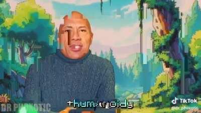 The rock catching a Pokemon 