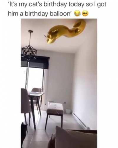 He loves his birthday balloon.