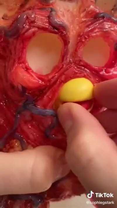 Thanks, I hate furless furbies