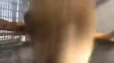 It’s my cake day, give me MORE