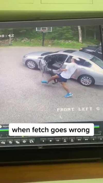 WCGW playing fetch with your dog