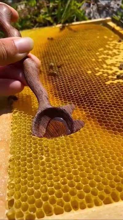 I’m beginning to see why Jerry likes this…